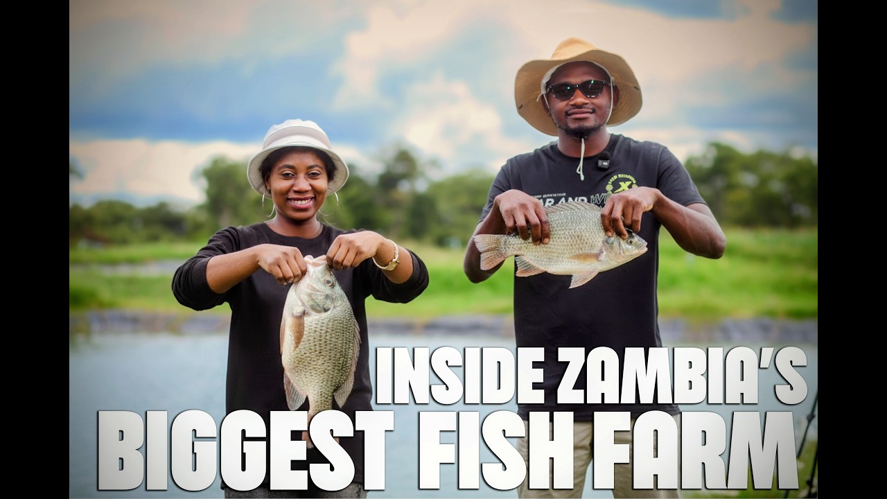 How a Family-Owned Zambian  Fish Farm is Making Over 50,000 Dollars And Makes Its Own Feed in Zambia
