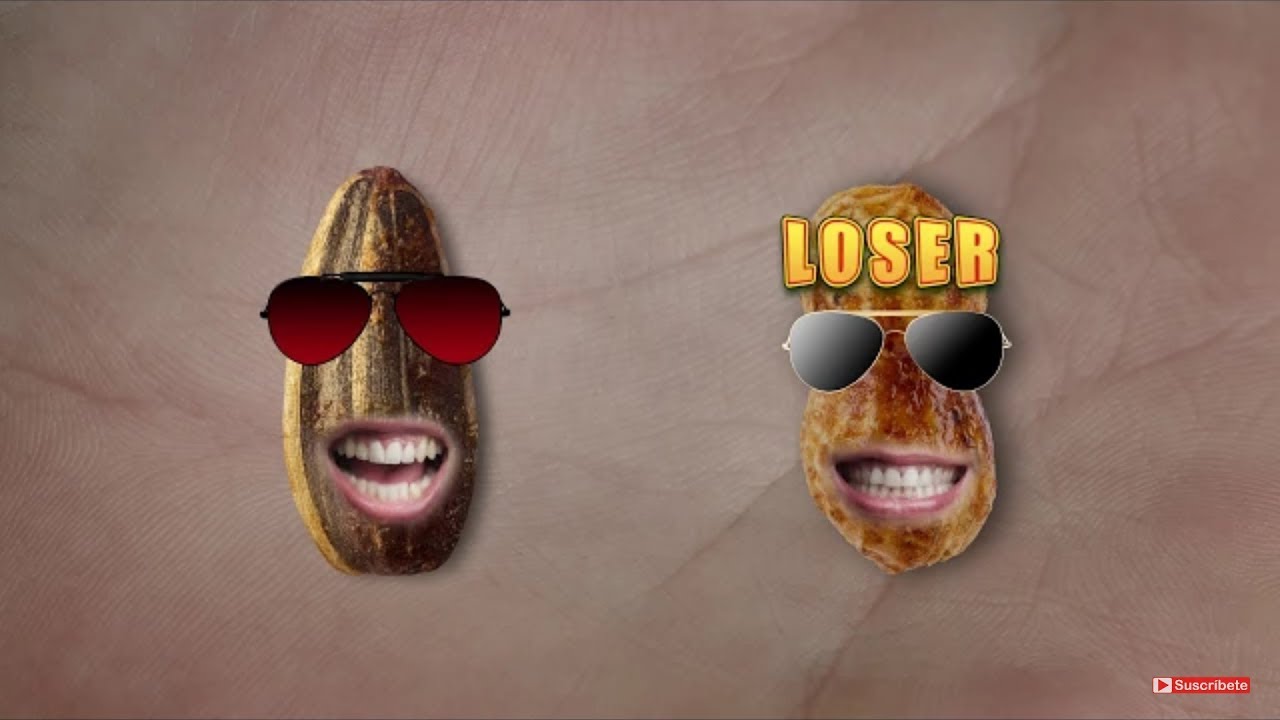 Batallas Pipas G Tijuana de Grefusa vs. Cacahuetes G con Tijuana - Vuelve Pipas G  🤣