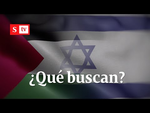 ¿Qué busca Israel y Palestina en este conflicto? | Videos Semana