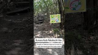 Download Lagu Kumano Kodo Nakahechi path to Takahara steps out to meet the road, then bends back into cedar shade MP3