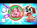 Pet Got a Boo Boo Song 🐾🎶 | Funny Kids Songs And Nursery Rhymes by Baby Zoo Story