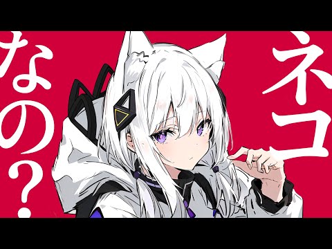 Kish. - CAT MEMES feat. KAFU (IN HUMAN LANGUAGE)