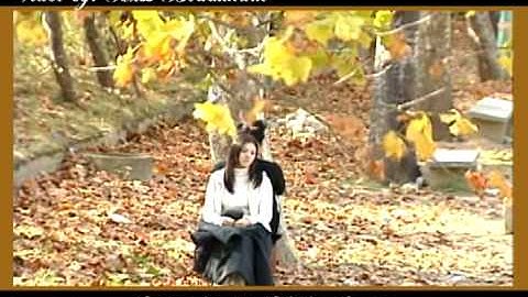 Autumn Fairytale - Friends