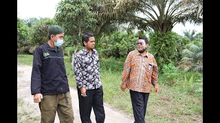 Download lagu Survei Tanah Wakaf Yayasan Nazhir Al-Bahjah