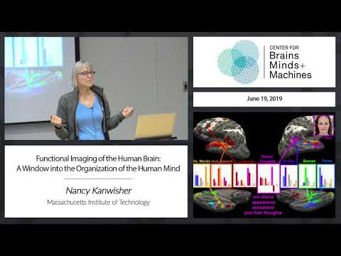 Video: How Does The Human Brain Establish Causation - Alternative View