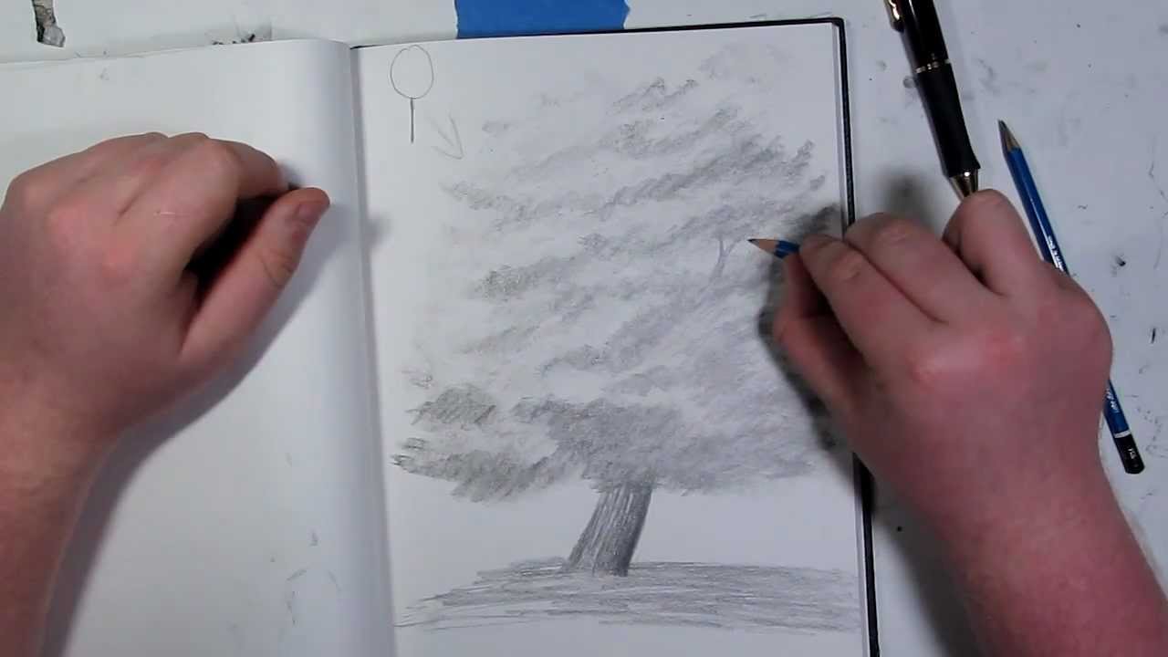 Landscape Tutorial~How to Draw Trees With Leaves Pt 2 of 2