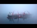 Fleet in the fog