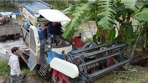 máy cắt 102 Lên phà Cắt Lúa hổ trợ máy bạn tập 149#maibangtv