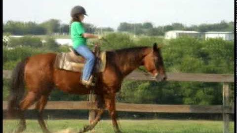 Valley View Ranch -Sport short video-  ***For up-to-date info, price, etc., go to our website***