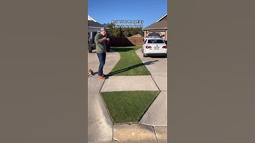 Perfectly straight grass with a LASER LEVEL?! 😲 #shorts