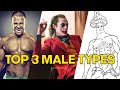 Top 3 male types shrigma males on top