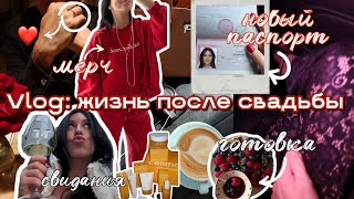 : VLOG 009    ,  ,  ,  ,     