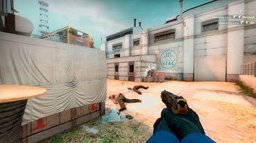 Lopezomg p2000 pug 4k