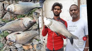  Wow || Catla Fishing || City Style Fish || Singh Ka Shikar