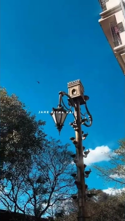 Isq Risk (slowed and reverb) - Rahat Fateh Ali Khan | Roh Sound World | Katrina Kaif