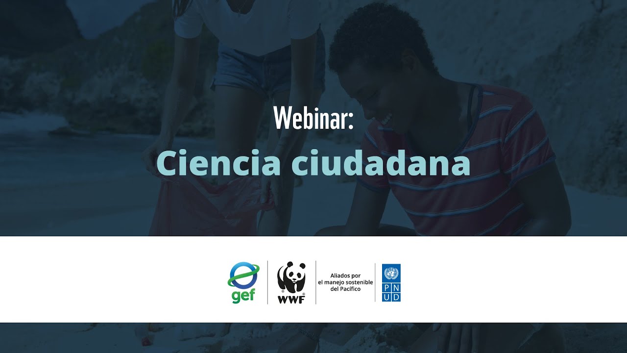 Ciencia ciudadana explicada: claves para aplicarla en ecosistemas marinos