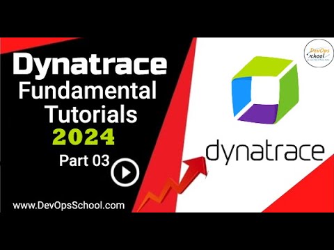 Видео: Dynatrace Fundamental Tutorials 2024 Part 3