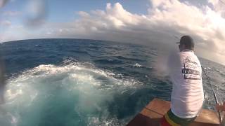 No Quarter sail season take 1 Net Worth