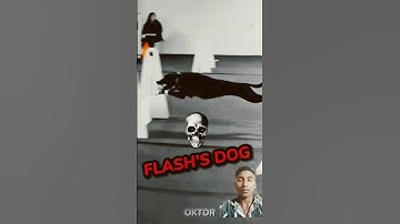 This Dog can beat Flash 💀 #trollface #troll #edit