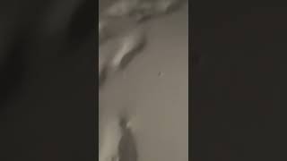 The Buffalo Blizzard of 2022 - Dec. 23 in Lancaster, NY | #bombcyclone