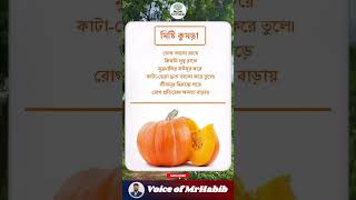 মিষ্টি কুমড়ার স্বাস্থ্য উপকারীতা #healthtips #gk #health #facts #food #healthyfood #healthy