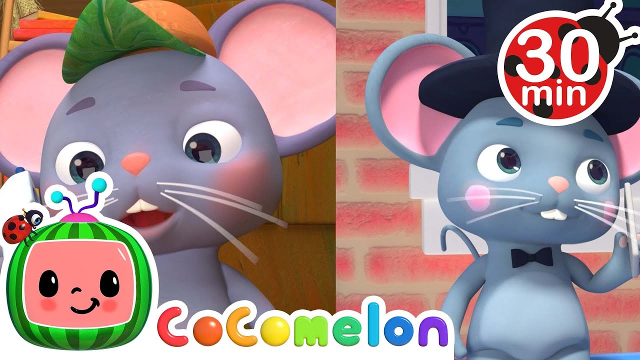 Cocomelon the country mouse and the city mouse