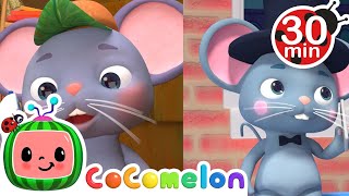 The Country Mouse and the City Mouse | Cocomelon | Learning Videos For Kids