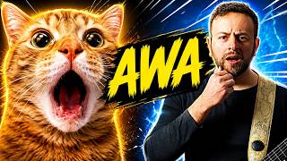 Awa cat x Spaul   Awa song singing cat