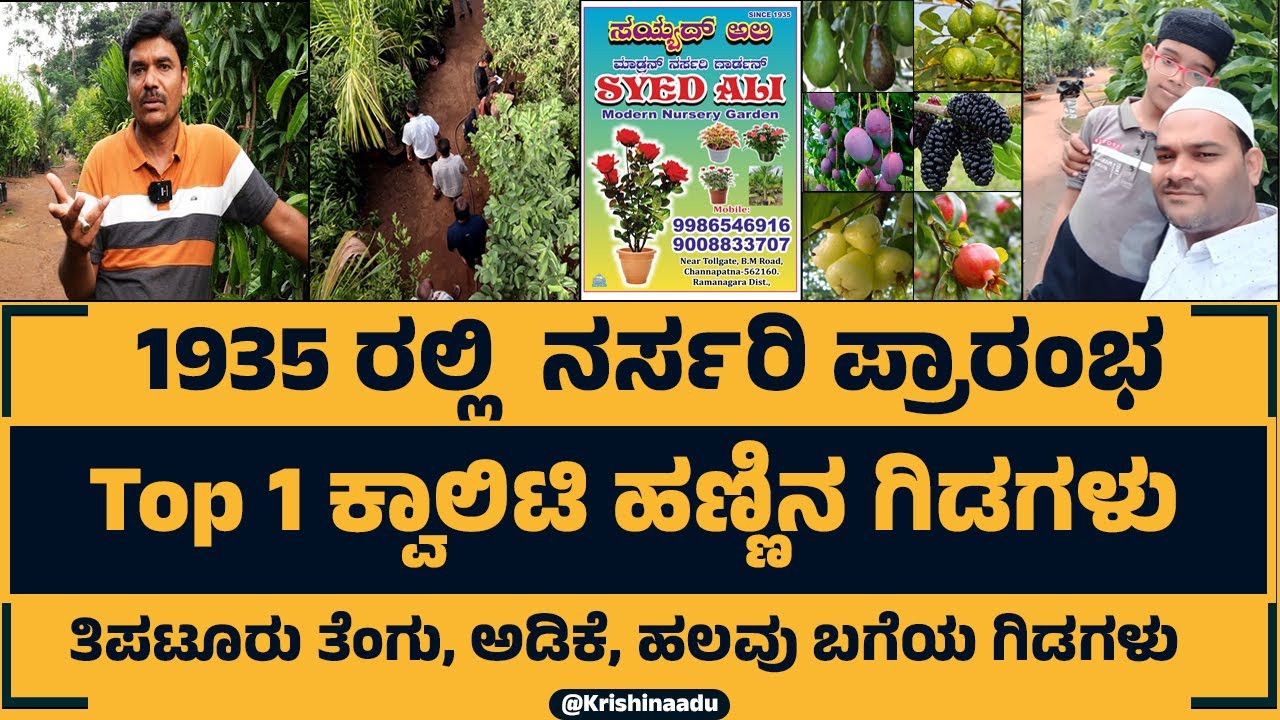 "Discover the Enchanting World of Syed Ali Modern Nursery Channapatna"