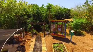 Drone Video of FGCU Food Forest by Brandon Ramirez