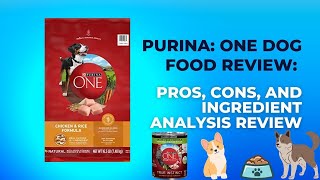 Honest Review of Purina ONE's True Instinct Dog Food | What's the Difference? | Expert Comparison