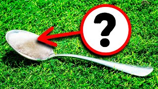 As soon as it gets warm outside, try leaving a spoonful of sugar in...
