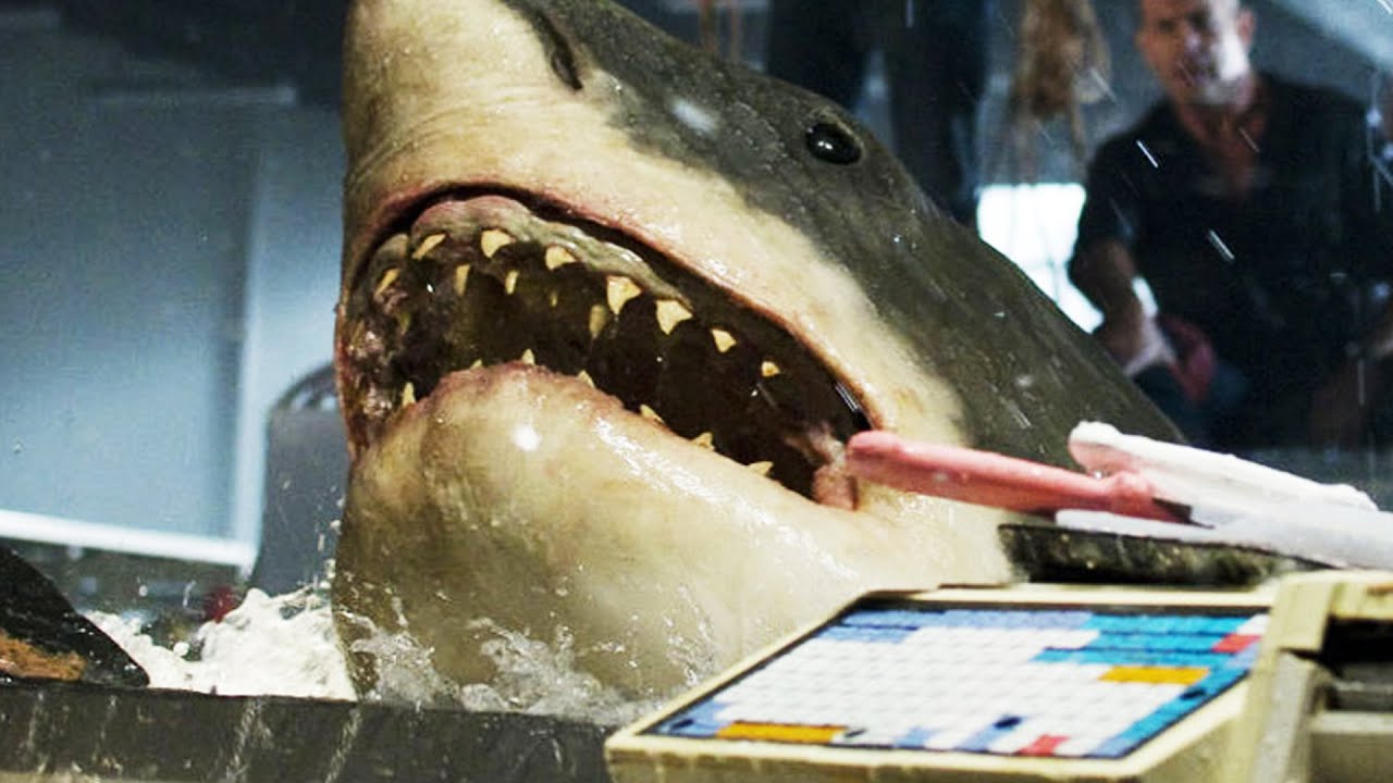 Tsunami brings shark after people rob grocery store YouTube