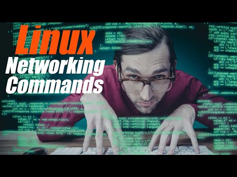 Top 10 Essential Linux Command Line Networking Tools