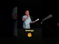 Задорнов о слове Род #shorts #задорнов #размышления