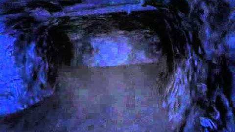 Bio Plays: Penumbra Overture (Part 3) Bloody Dogs