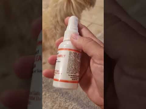 Cataract Homeopathic eye