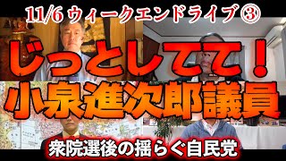 じっとしてて！小泉進次郎議員【文化人ウィークエンドLIVE】