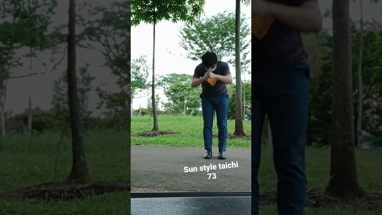 sun style taichi 73 created/improvised by sun lu tang
