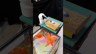 CCTV camera hack 📹 that automatically feeds your fish 🐟