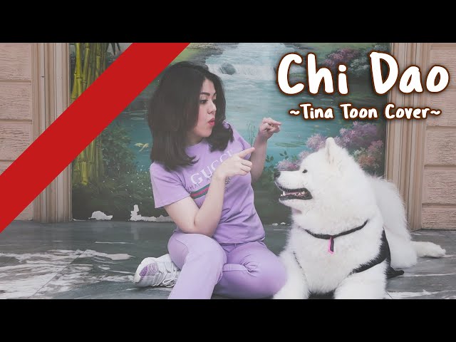 Chi Dao - 迟到 | Cover By Tina Toon class=