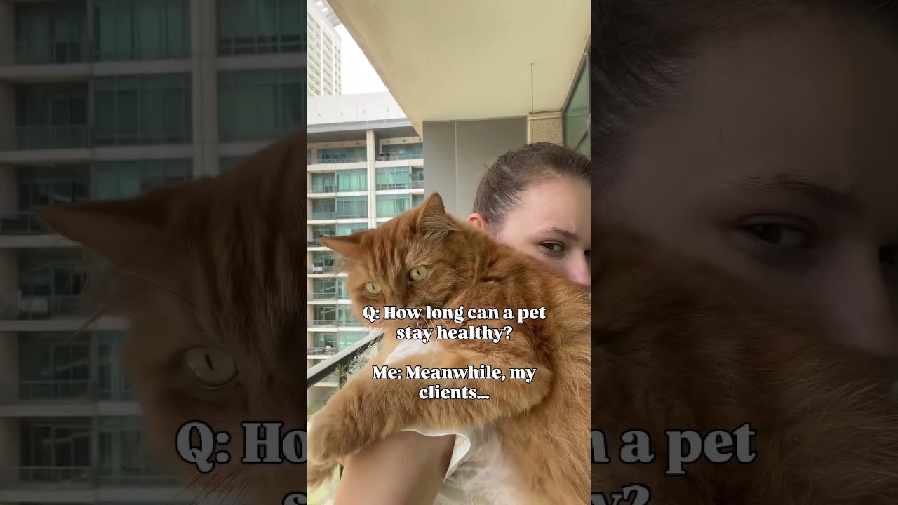 Cats. Dogs. Pet health. Pet longevity. Pet biohacking. Pet wellness