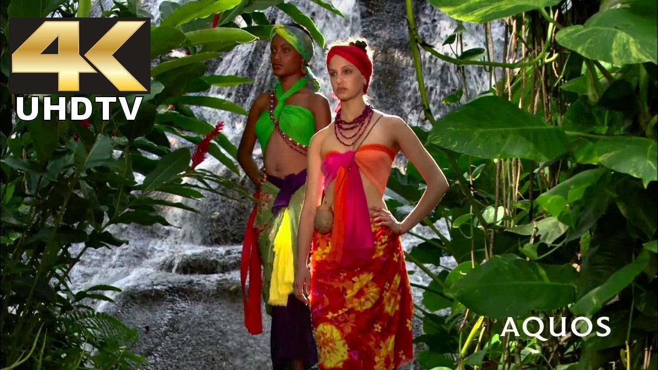 Sharp 4K Demo - Living with Nature in Dolby Digital