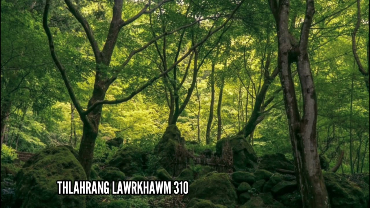 Nula pakhat bota kha a thla a hrang em ni ( Thlahrang Lawrkhawm 310 )