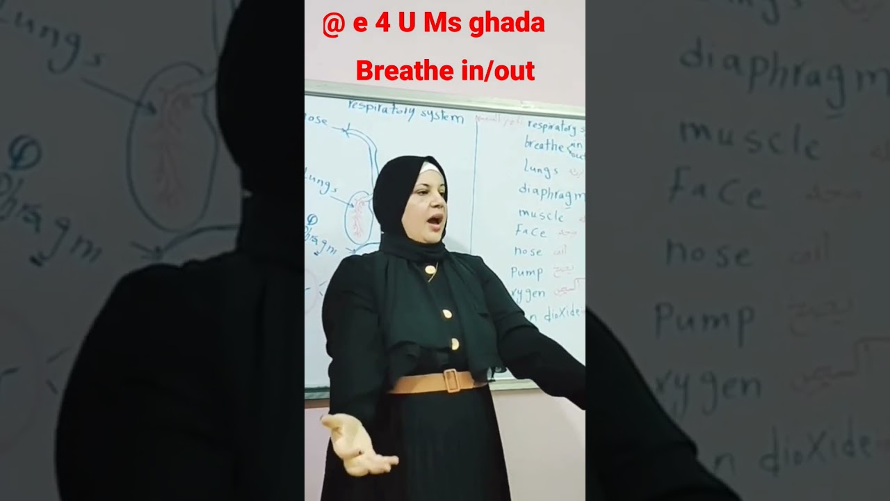 the respiratory system grade 4