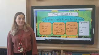 Year 3 - Science Leaf Investigation (14th May)