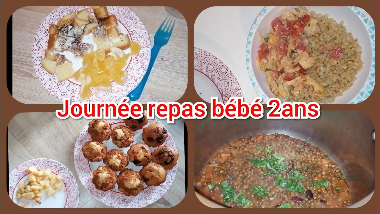 Idees Repas Bebe 2ans Meals Idea For 2years Old Ideas De Comida Para Bebes De 2 Anos Youtube