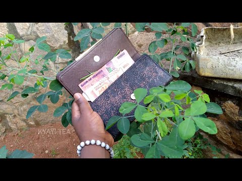 Teka Akati Mu Wallet Yo Tegenda Kukala Sente Akati Ka Namuli