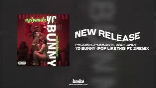 Prodbycpkshawn, Ugly Andz - Yo Bunny (Pop Like This Pt.2 Remix)