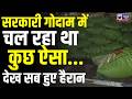 Una में आधी रात का बड़ा खेल? सरकारी खाद गोदाम में संदिग्ध लोडिंग से मचा हड़कंप